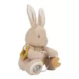 Little Dutch aktiviteettilelu Baby Bunny sisältää paljon mielenkiintoista tutkittavaa. - Mjukisdjur och snuttefiltar - LD8430 - 5