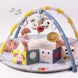 Taf Toys leikkimatto melody blood gym vauva leikkii - Lekmattor och babygym - 294483 - 2