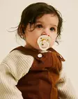 Bibs Colour Studio, Ivory Gold tutti lapsella. - Nappar och napphållare - 120477 - 3