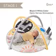 Taf Toys Savannah leikkimatto 360 activity gym tyynyll=C3=A4. - Lekmattor och babygym - 253937 - 4