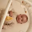 Little Dutch leikkimatto vauvalle tarjoaa paljon eri aktiviteetteja. - Lekmattor och babygym - LD8417 - 5