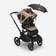 Bugaboo Fox 5 Breezy sun canopy Dune Taupe rattaissa. - Barnvagnar och kombivagnar - 100221029 - 5