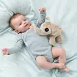 Done By Deer Cuddle Bestie Gift Box Elphee Sand vauvan sylissä - Mjukisdjur och snuttefiltar - 8463729 - 3
