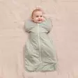 Love To Swaddle Up kapalopussi 50/50 Winter, Olive Bees vauvalla. -  - L2029346OLV - 2